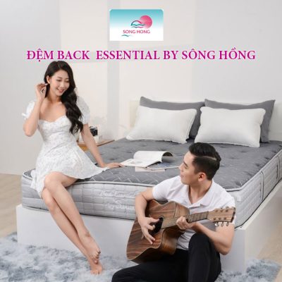 Mua đệm Sông Hồng tại Hà Nội chỗ nào uy tín?