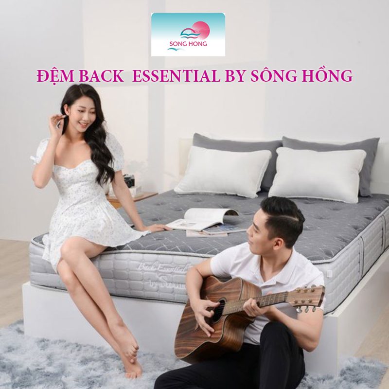 Mua đệm Sông Hồng tại Hà Nội chỗ nào uy tín?